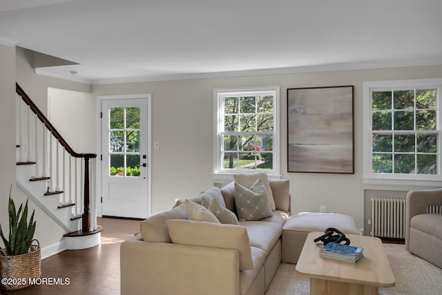 living area featuring plenty of natural light, radiator, crown molding, and wood finished floors