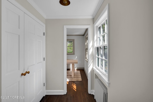 corridor featuring baseboards, ornamental molding, radiator, and dark wood finished floors