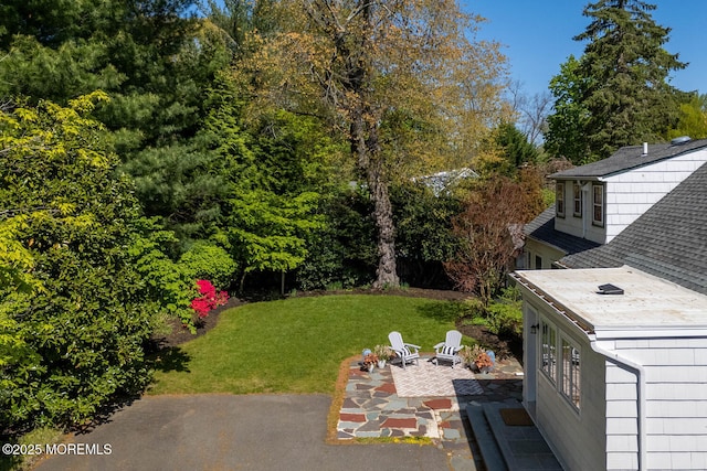 view of yard with a patio