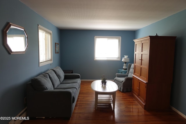 living area with dark wood finished floors