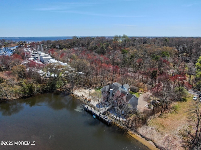 drone / aerial view featuring a forest view and a water view