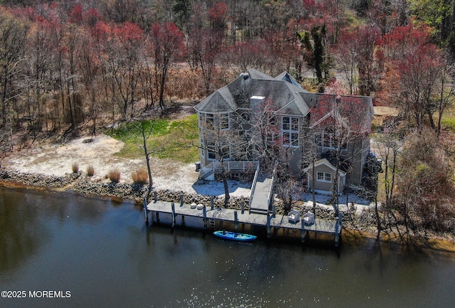 aerial view with a water view and a view of trees