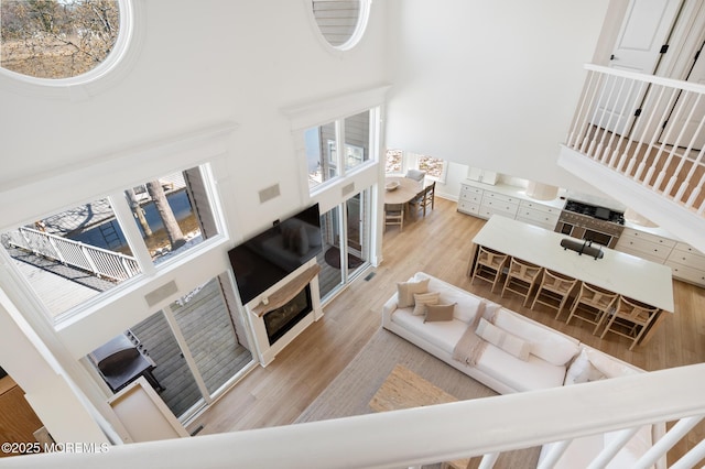living room featuring a high ceiling and wood finished floors