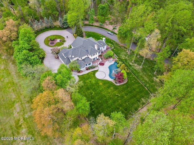 drone / aerial view