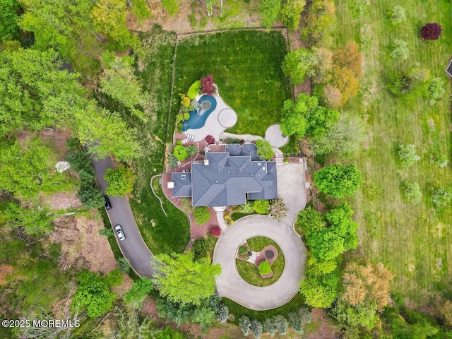 aerial view