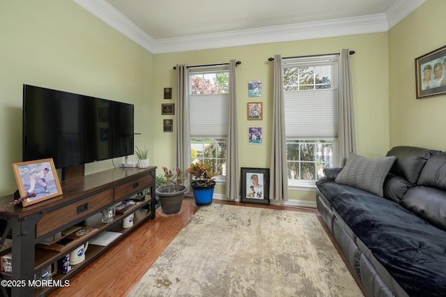 8 Ascot Ln, Manchester, NJ 08759 - living area featuring crown molding and wood finished floors