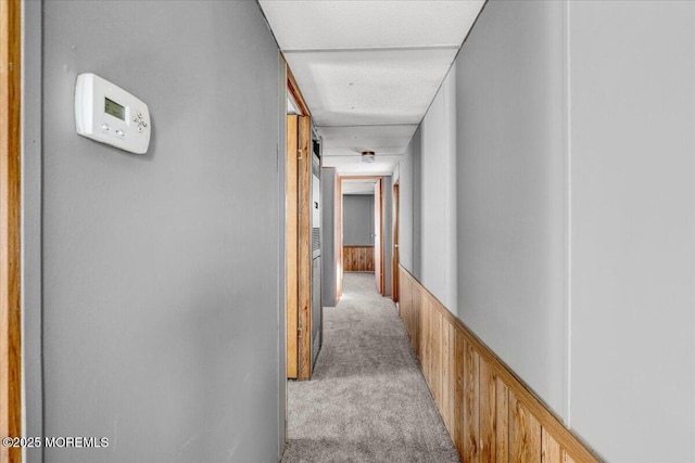 19 Mary Ann Ct, Hazlet, NJ 07734 - corridor with a wainscoted wall and light colored carpet
