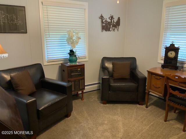 living area with a healthy amount of sunlight, carpet floors, and a baseboard radiator