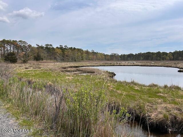 957 Harrison Rd, Toms River, NJ 08753 - water view with a forest