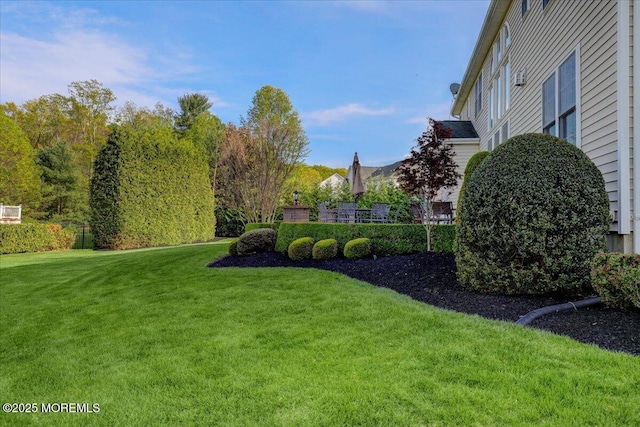view of yard