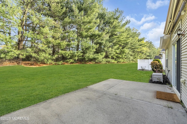 view of yard featuring a patio