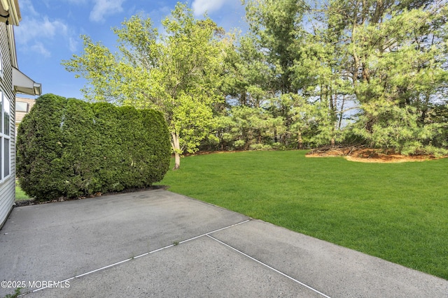 view of yard with a patio