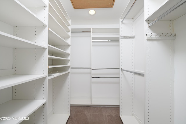 spacious closet with carpet floors