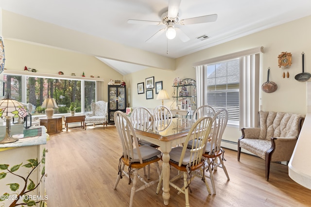 dining area with a wealth of natural light, visible vents, ceiling fan, and light wood-style flooring