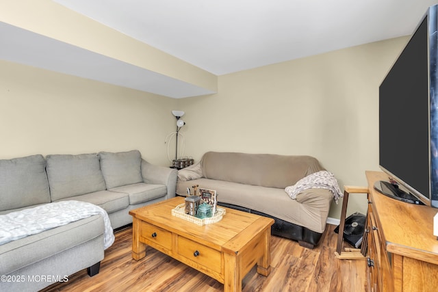 living room featuring light wood-style flooring