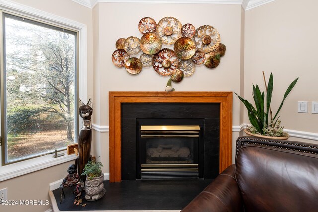 291 Marigold Ct, Toms River, NJ 08753 - details with ornamental molding, baseboards, and a glass covered fireplace