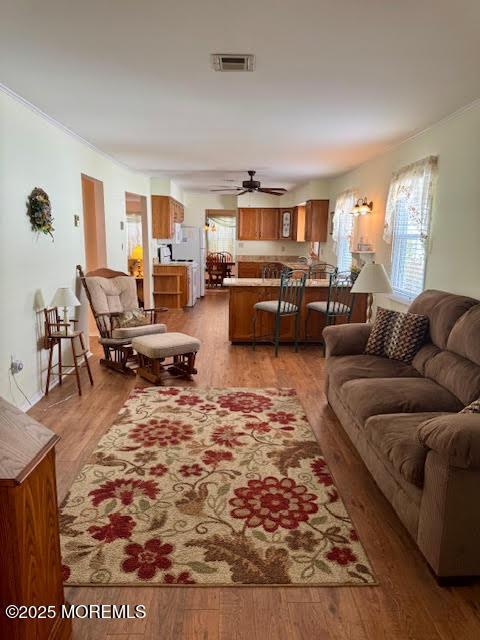 living area with visible vents, plenty of natural light, light wood-style flooring, and a ceiling fan