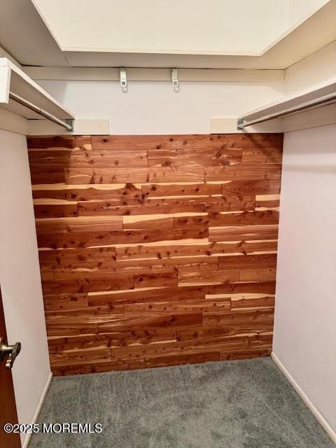 walk in closet with carpet floors