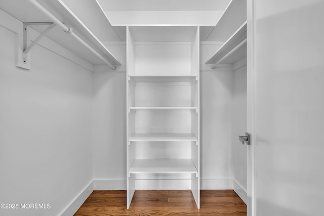 walk in closet featuring wood finished floors