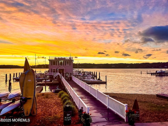 dock area featuring a water view