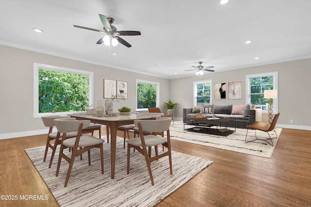 dining room with crown molding, ceiling fan, recessed lighting, and wood finished floors