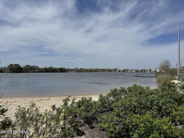view of water feature
