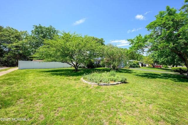 102 Buckingham Dr, Jackson, NJ 08527 - view of yard