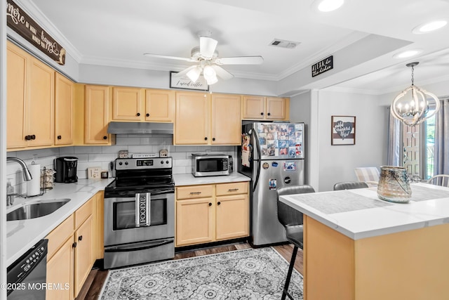 kitchen featuring under cabinet range hood, stainless steel appliances, a sink, and light brown cabinets