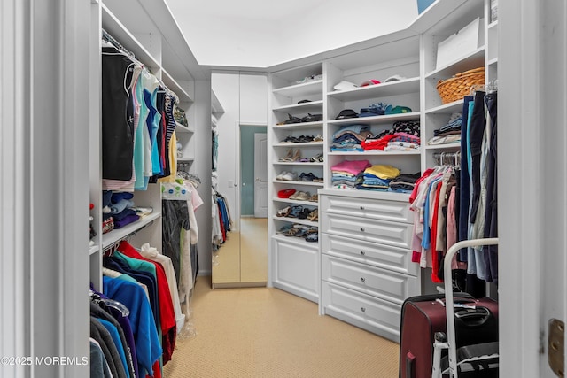 walk in closet with light colored carpet