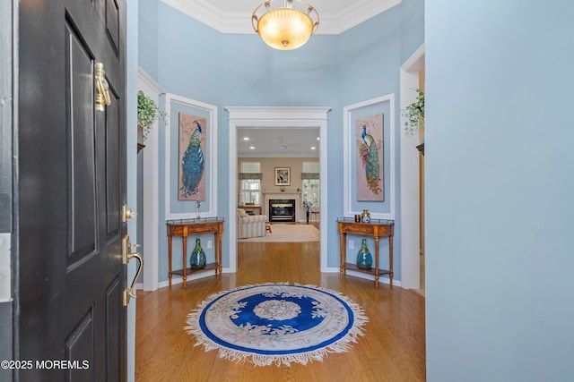 entrance foyer with wood finished floors, crown molding, baseboards, a glass covered fireplace, and a high ceiling