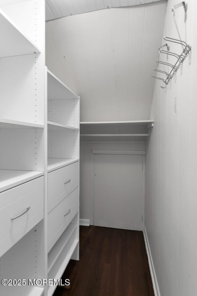 spacious closet with dark wood-type flooring