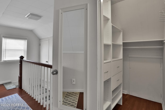 spacious closet with visible vents, dark wood finished floors, and vaulted ceiling