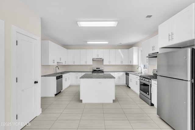 kitchen featuring stainless steel appliances, under cabinet range hood, and a sink