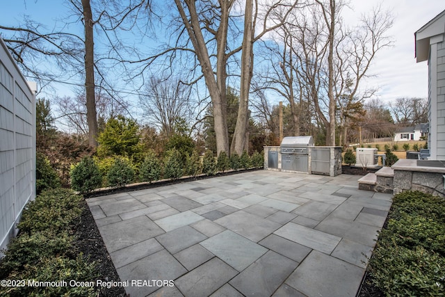 view of patio / terrace with area for grilling