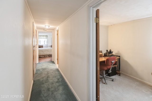 2174 Begonia Ave, Sea Girt, NJ 08750 - corridor featuring carpet flooring, an office area, and baseboards