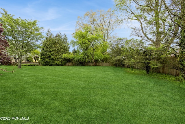2174 Begonia Ave, Sea Girt, NJ 08750 - view of yard