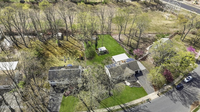 drone / aerial view