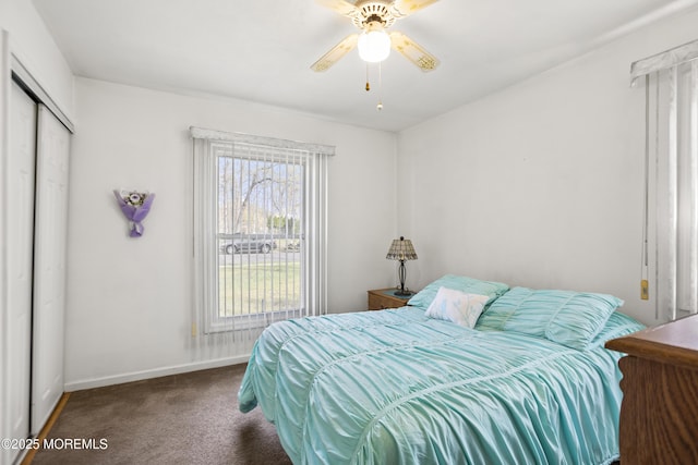 bedroom featuring baseboards, carpet, a closet, and multiple windows