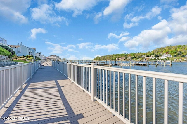 dock area with a water view