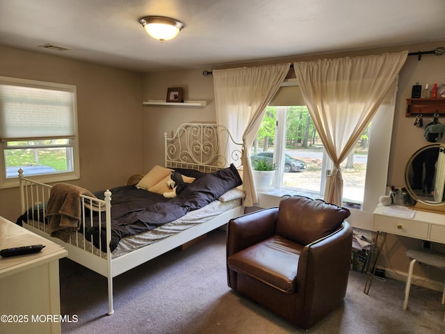 517 Newtons Corner Rd, Howell, NJ 07731 - bedroom with carpet floors