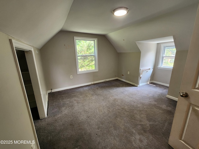 41 Willow Ave, Howell, NJ 07731 - bonus room with vaulted ceiling, dark colored carpet, and baseboards