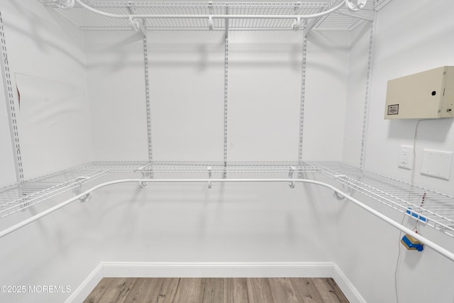 spacious closet featuring light wood-style floors