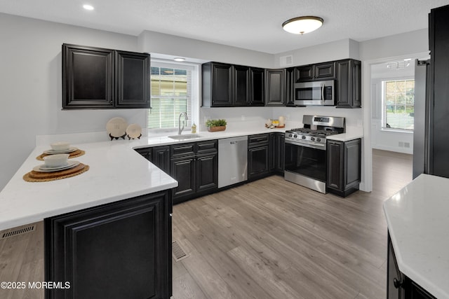 kitchen with light countertops, a textured ceiling, dark cabinetry, a sink, and stainless steel appliances