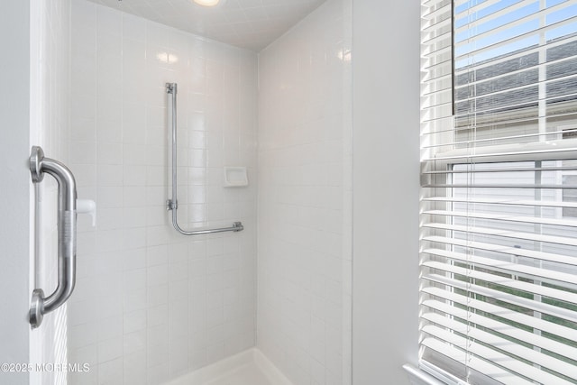 bathroom featuring a shower stall