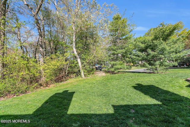 31 Mulberry Ct Unit B, Brielle, NJ 08730 - view of yard