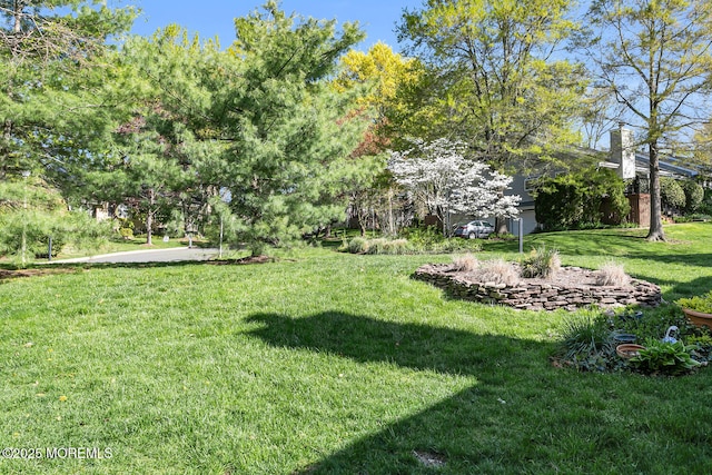31 Mulberry Ct Unit B, Brielle, NJ 08730 - view of yard