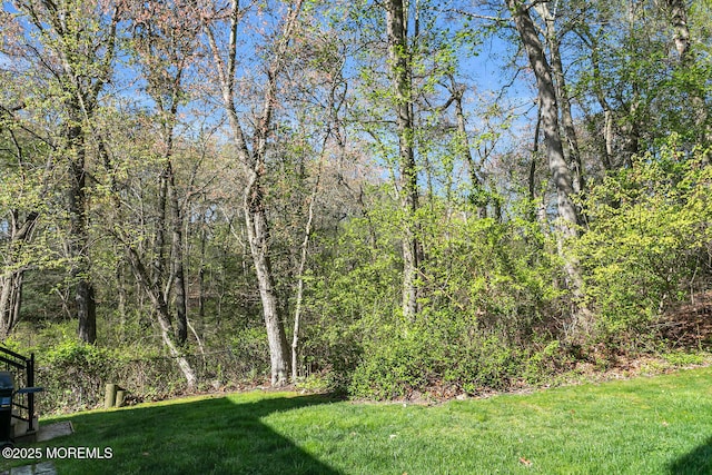 31 Mulberry Ct Unit B, Brielle, NJ 08730 - view of yard featuring a view of trees