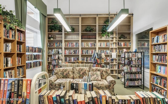 living area featuring carpet and wall of books