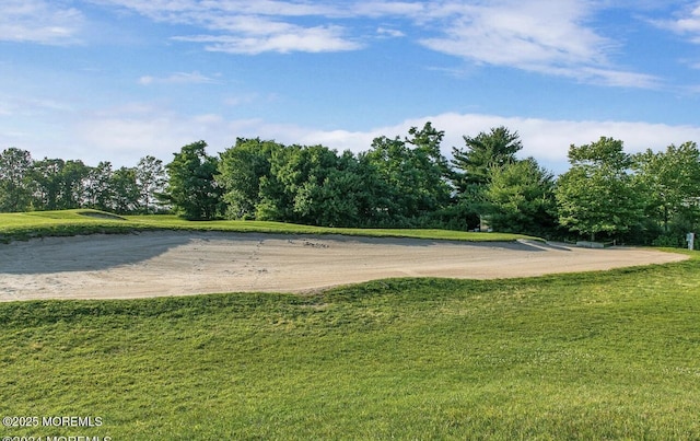 view of community featuring a lawn