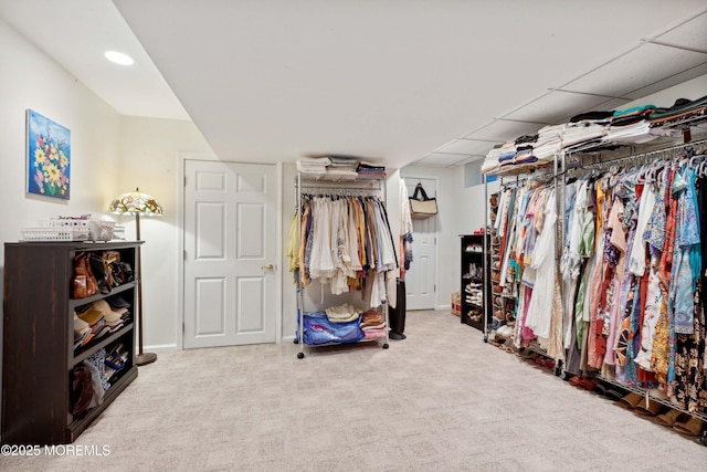 spacious closet featuring carpet flooring